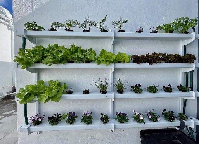 0 Bedroom Property for Sale in Gansbaai Central Western Cape